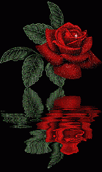 lilrose's Avatar