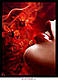 ClassifiedExquisite's Avatar