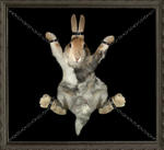 Alfredo's Avatar