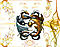 shydragon's Avatar