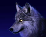 immortalwolf's Avatar